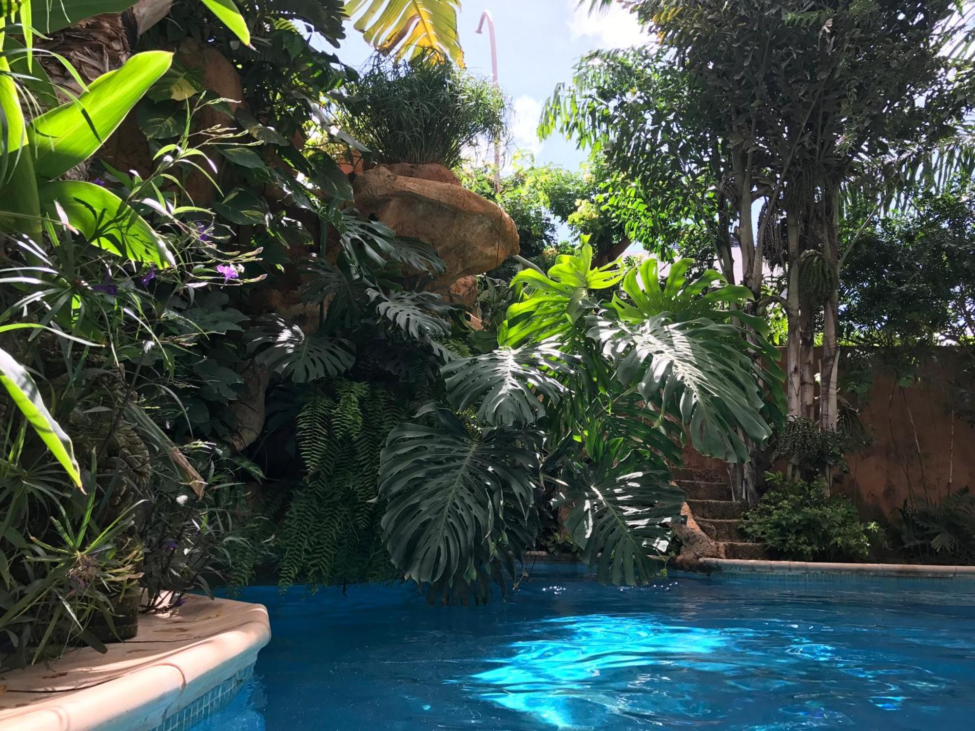 Tropical Oasis Apartamento Ouakam Exterior foto